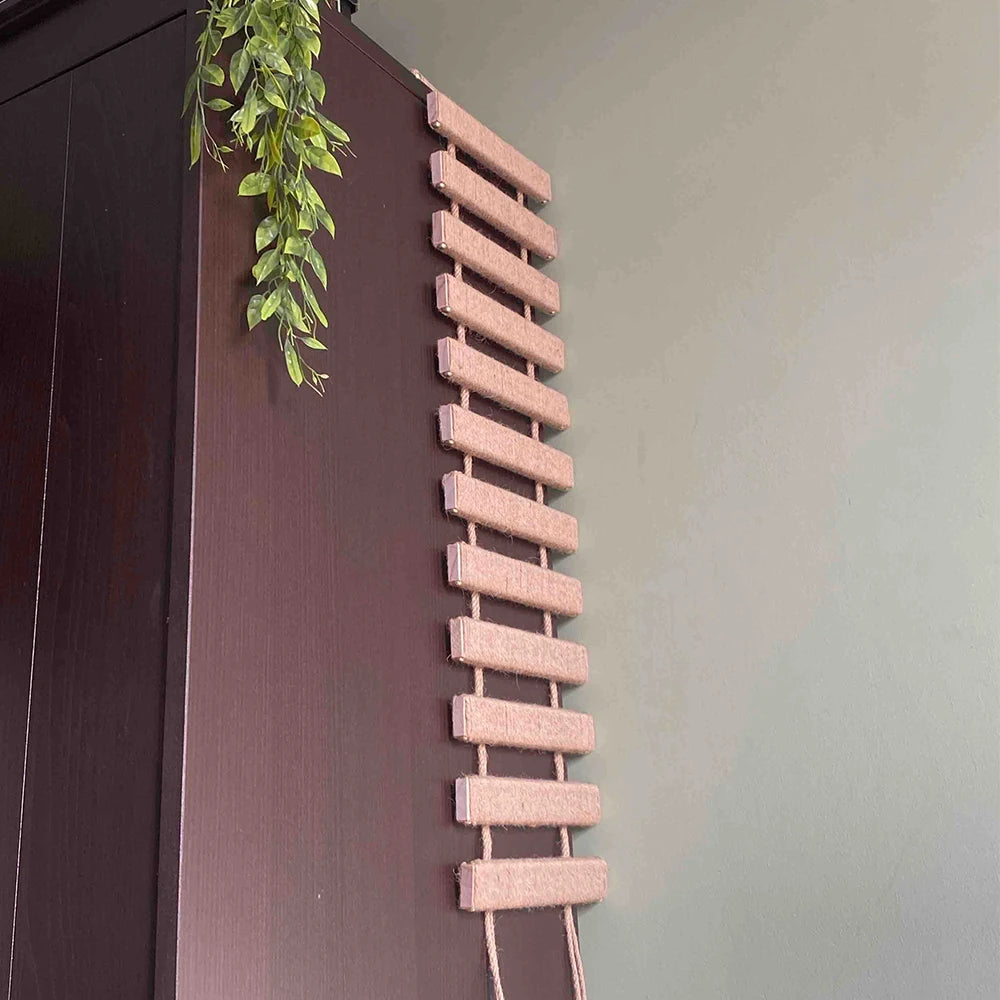 Wall Mounted Cat Climbing Shelves and Ladders