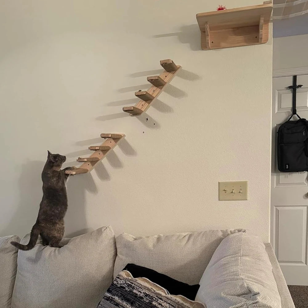 Cat Climbing Shelves, Hammock Bridge with Sisal Ladder