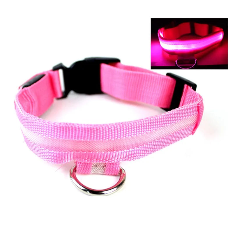 Nylon LED Pet Dog Collar USB Charging