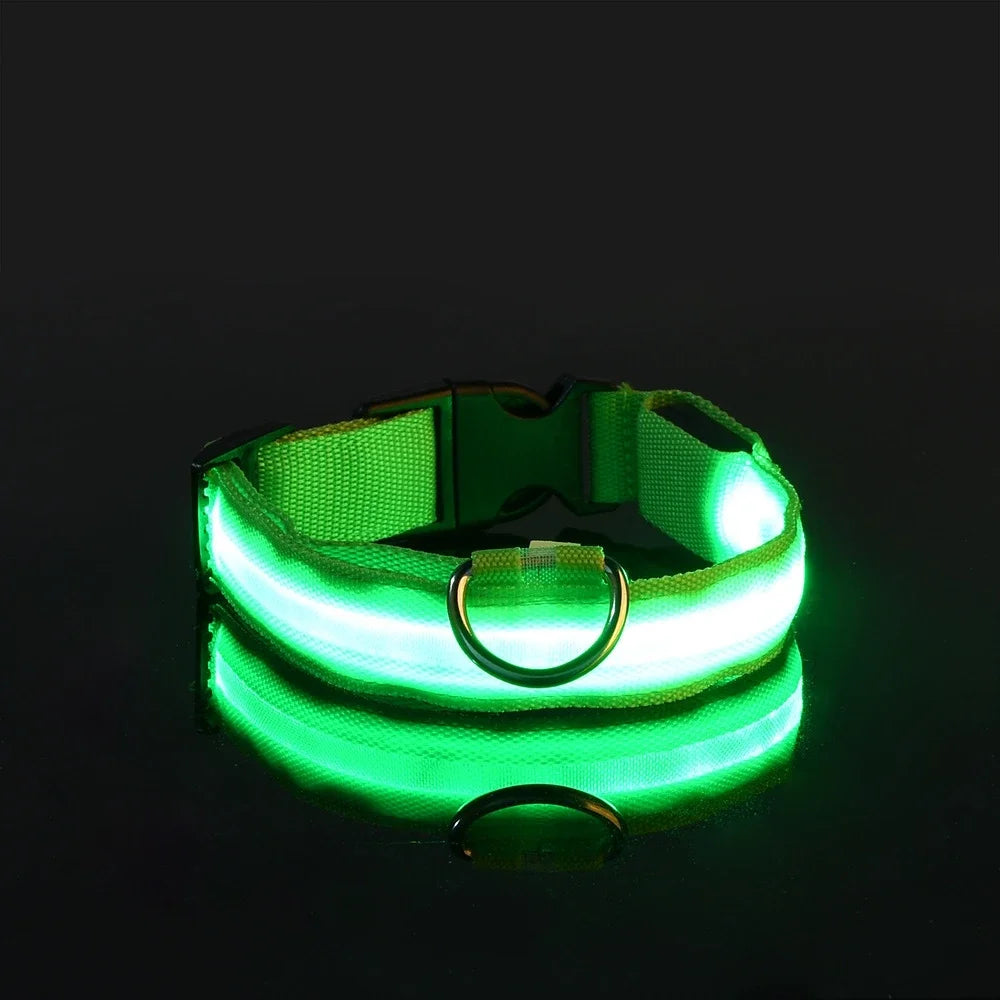 Dog or Cat Collar Nylon LED Night Safety Flashing Glow In The Dark