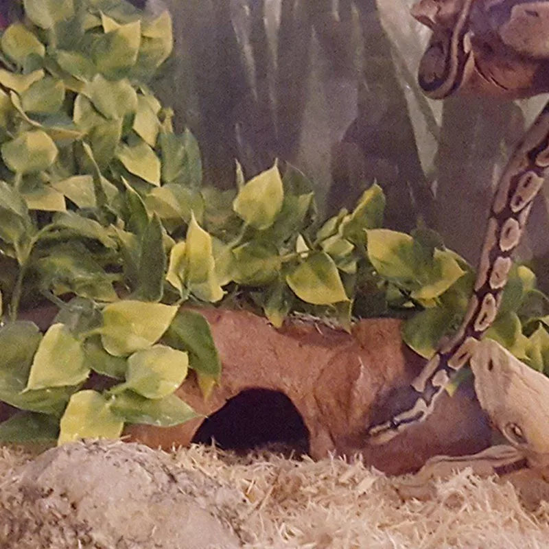 Reptile Terrarium Plant With Suction Cup