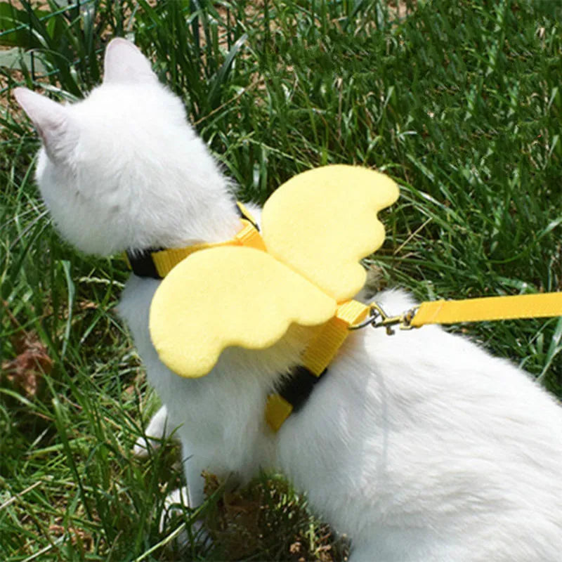 Angel wings Cat and Small Dog leash and Collar