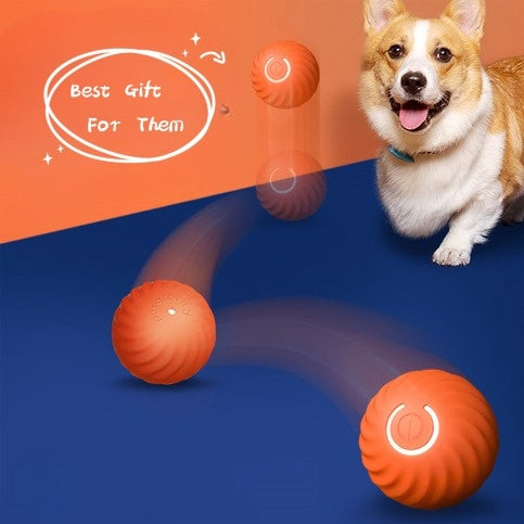 Rubber Ball Toys for Dogs. Training Products