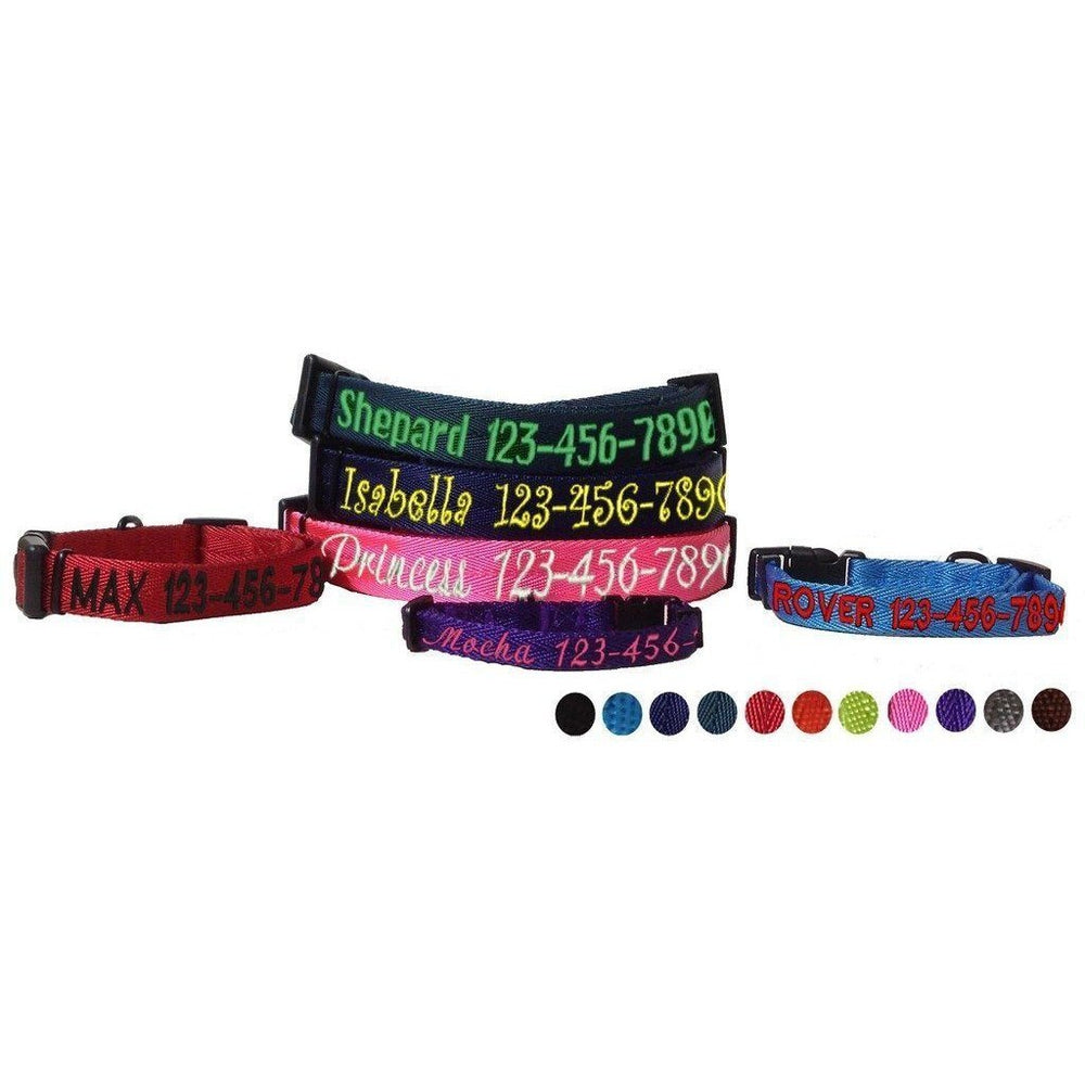 Nylon Flat Dog Collar