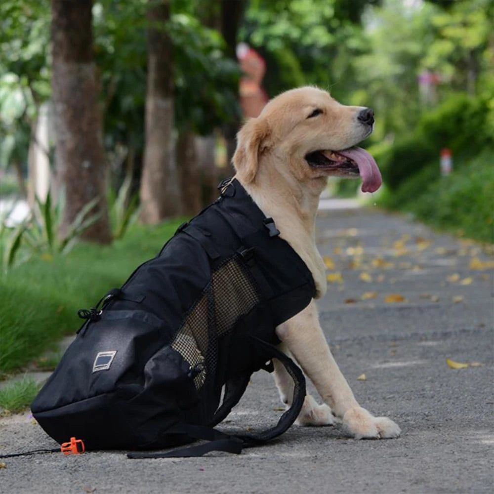 Large Pet Backpack For Outdoor Travel