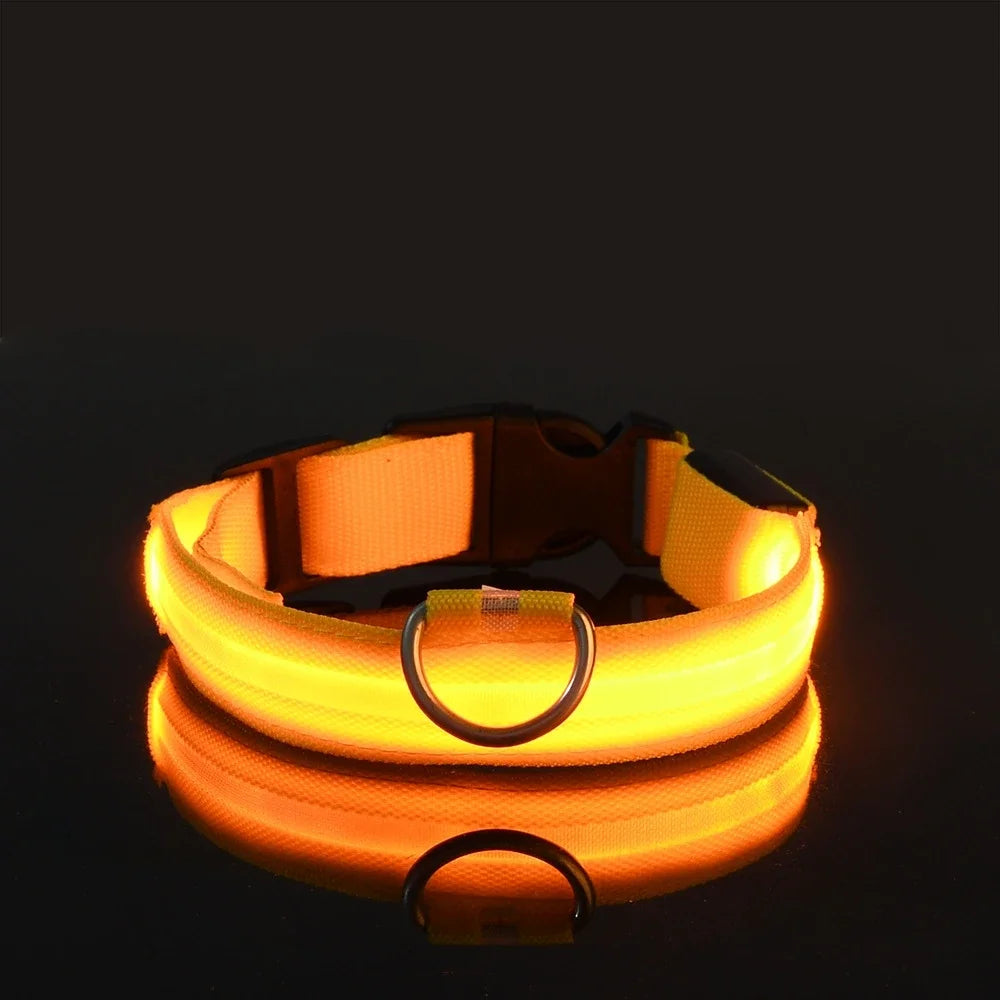 Dog or Cat Collar Nylon LED Night Safety Flashing Glow In The Dark