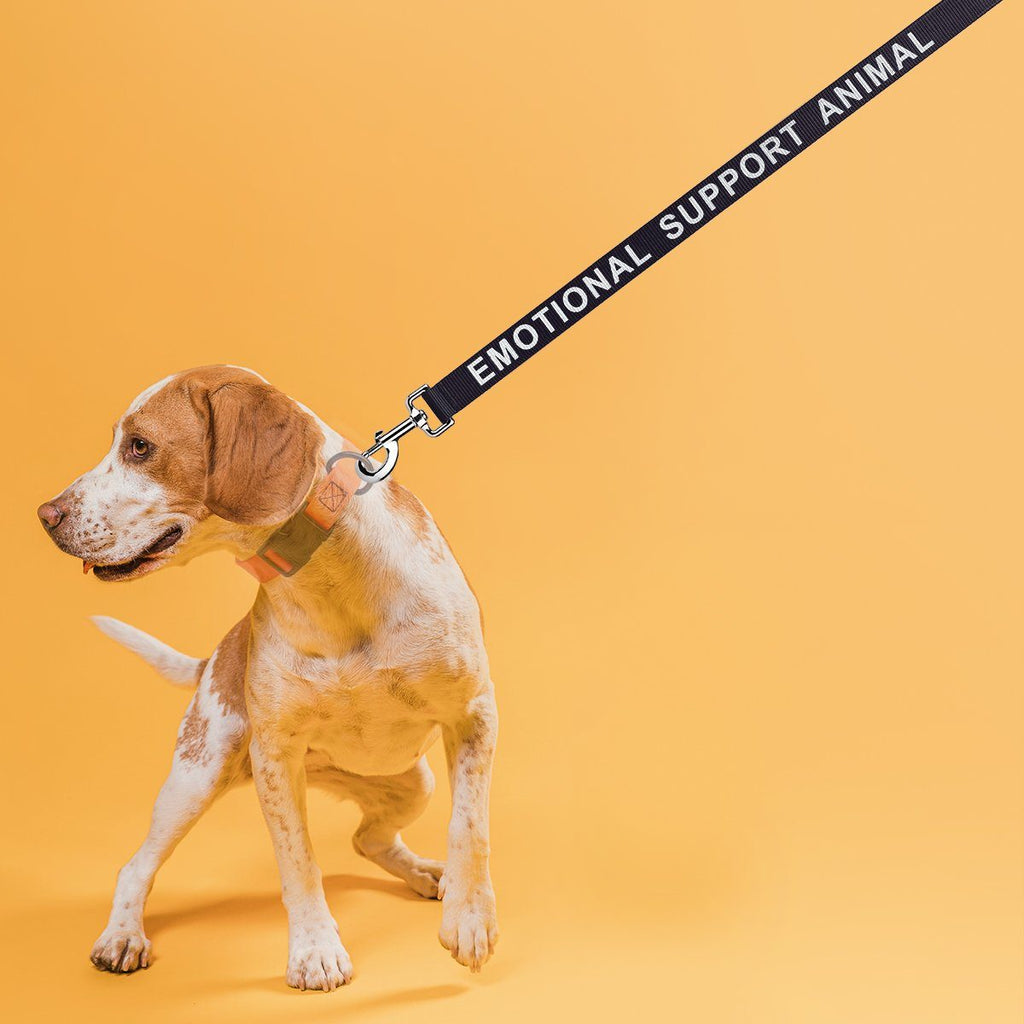 Reflective Nylon Dog Leash
