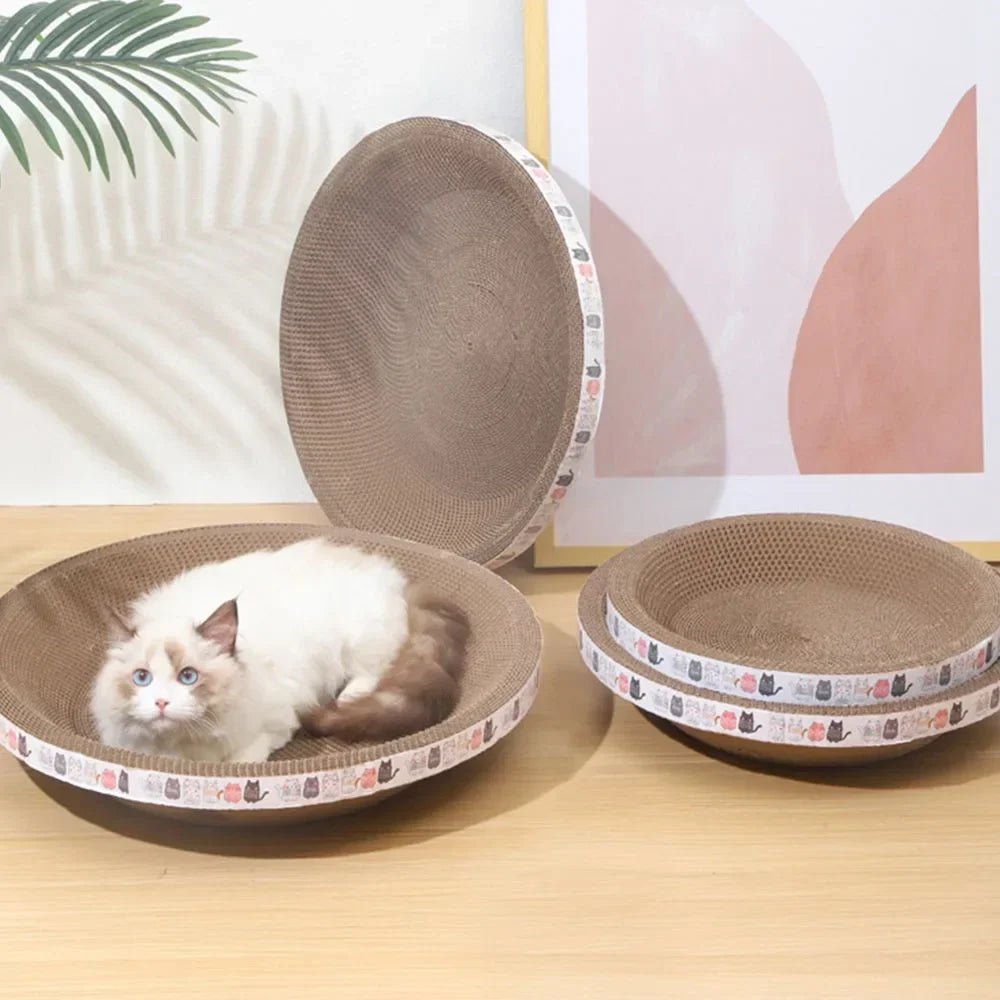 Cat Scratching Board and Bed