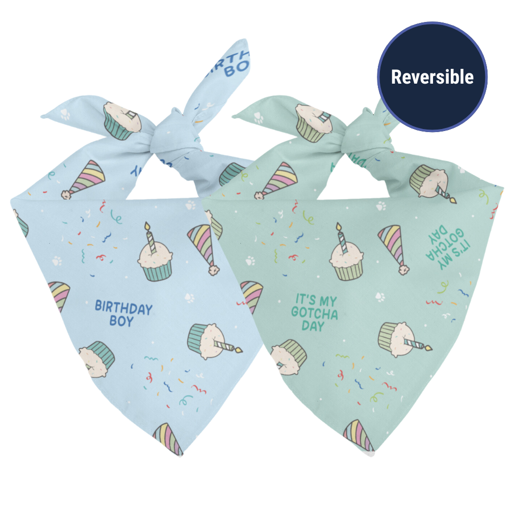 Birthday Boy & Gotcha Day Dog Bandana