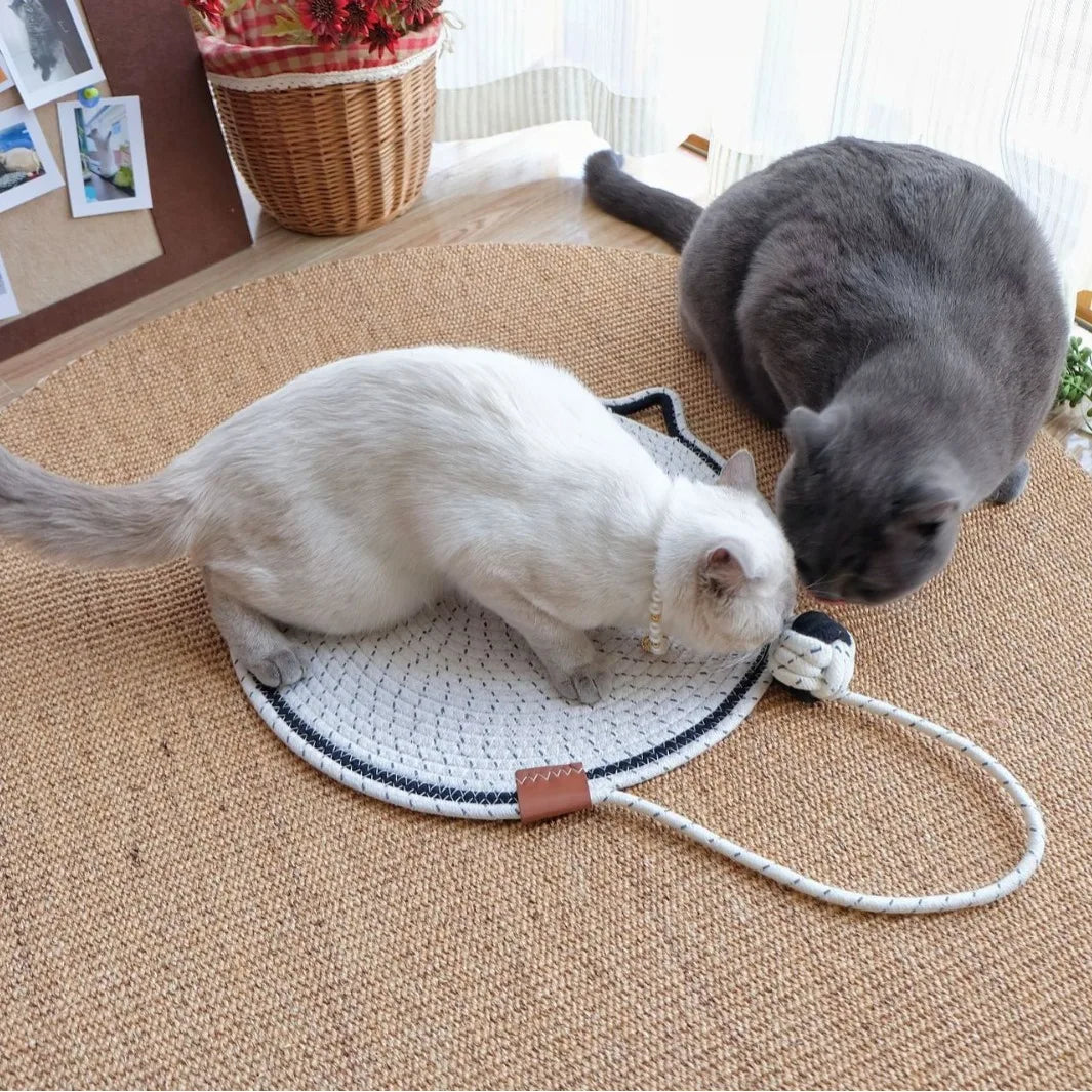 Cat shaped Scratcher Mat with Cotton Rope - Love My Pet