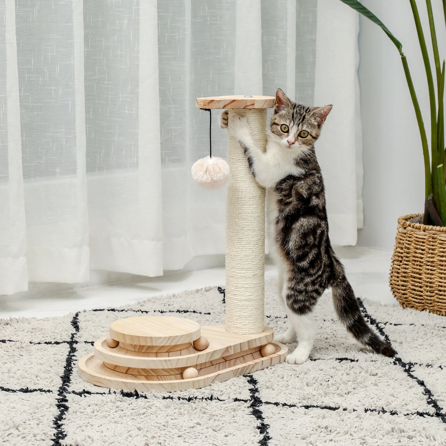 Natural Sisal Interactive Toys Solid Woods