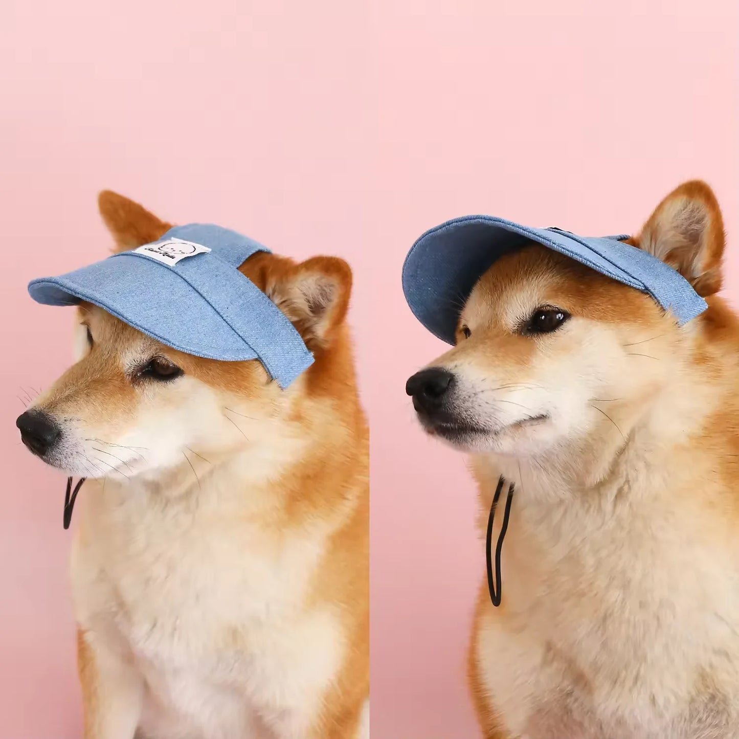 Pet Outdoor Embroidered Cartoon Sunshade Hat
