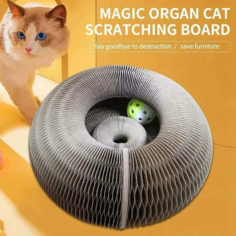 Cat Scratching Board Cat Toy