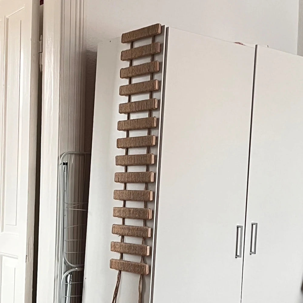 Wall Mounted Cat Climbing Shelves and Ladders