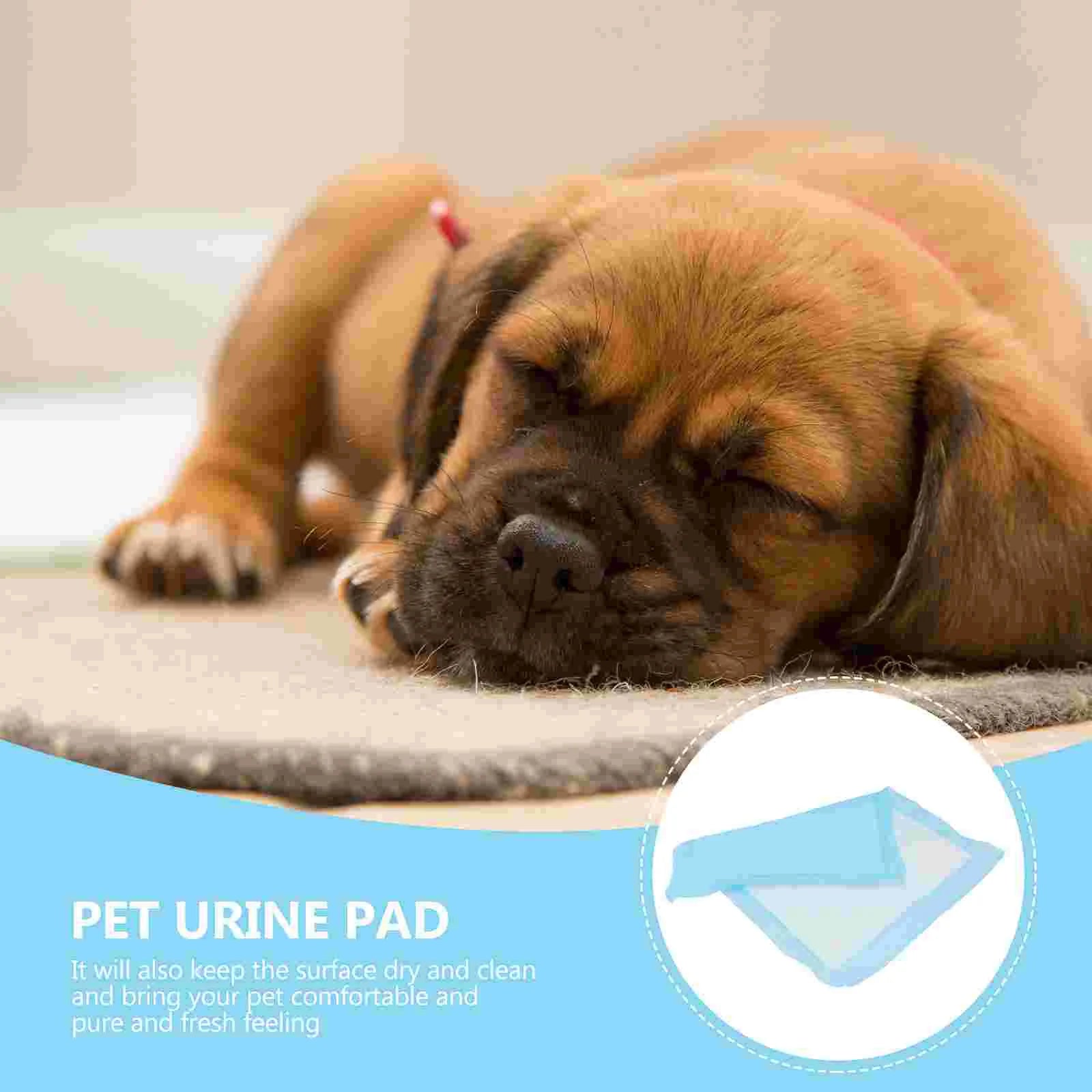 100 Pcs Pee Pads for Training - Love My Pet