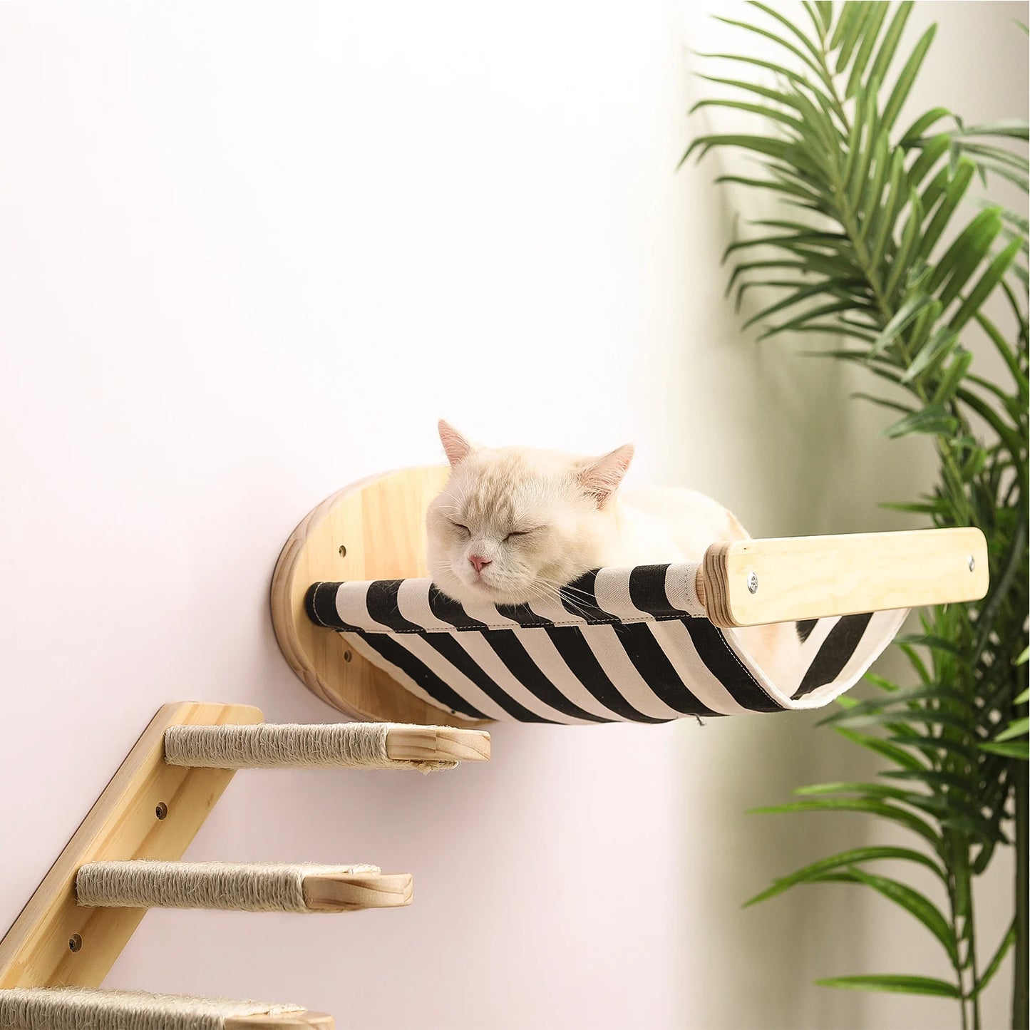 Wall-mounted Cat Hammock And Climbing Home Decor