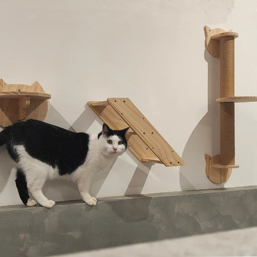 Cat Climbing Shelves, Hammock Bridge with Sisal Ladder