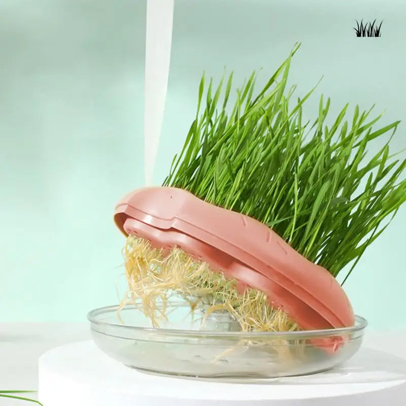 Hydroponic Cat Grass Planter And Growing Tray