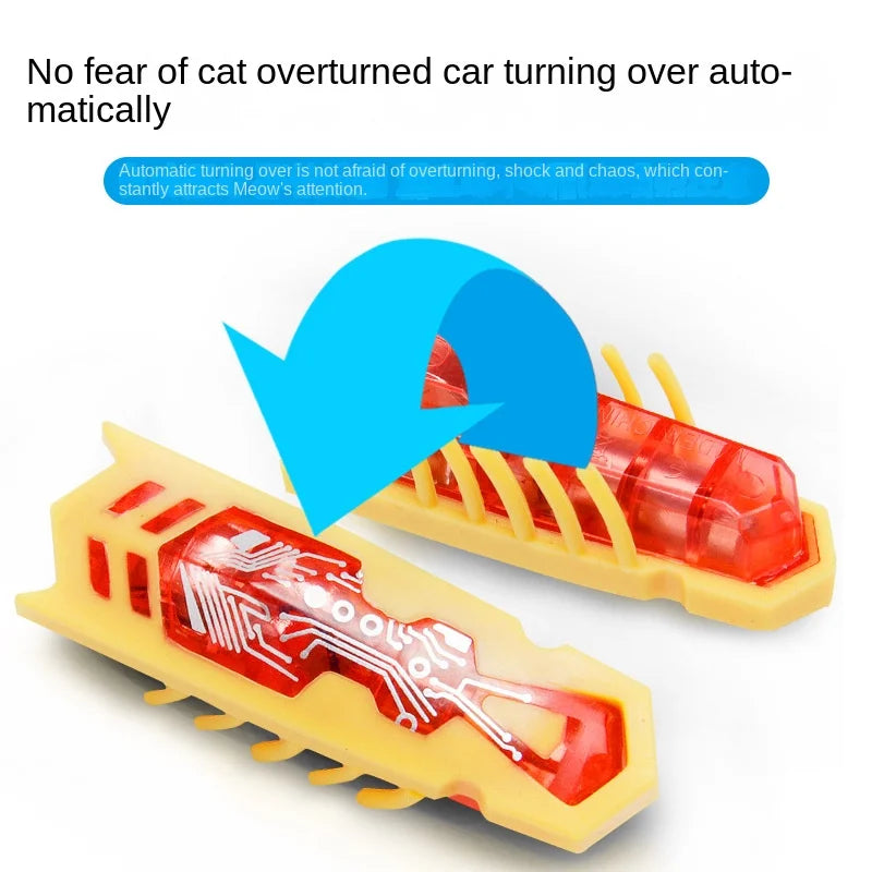 Electric Bugs Cat Toy