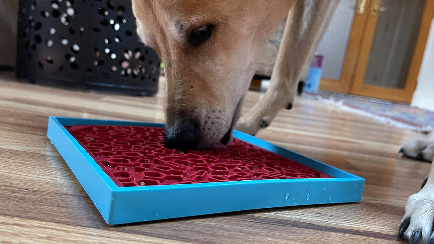 Vino Design eMat Enrichment Lick Mat