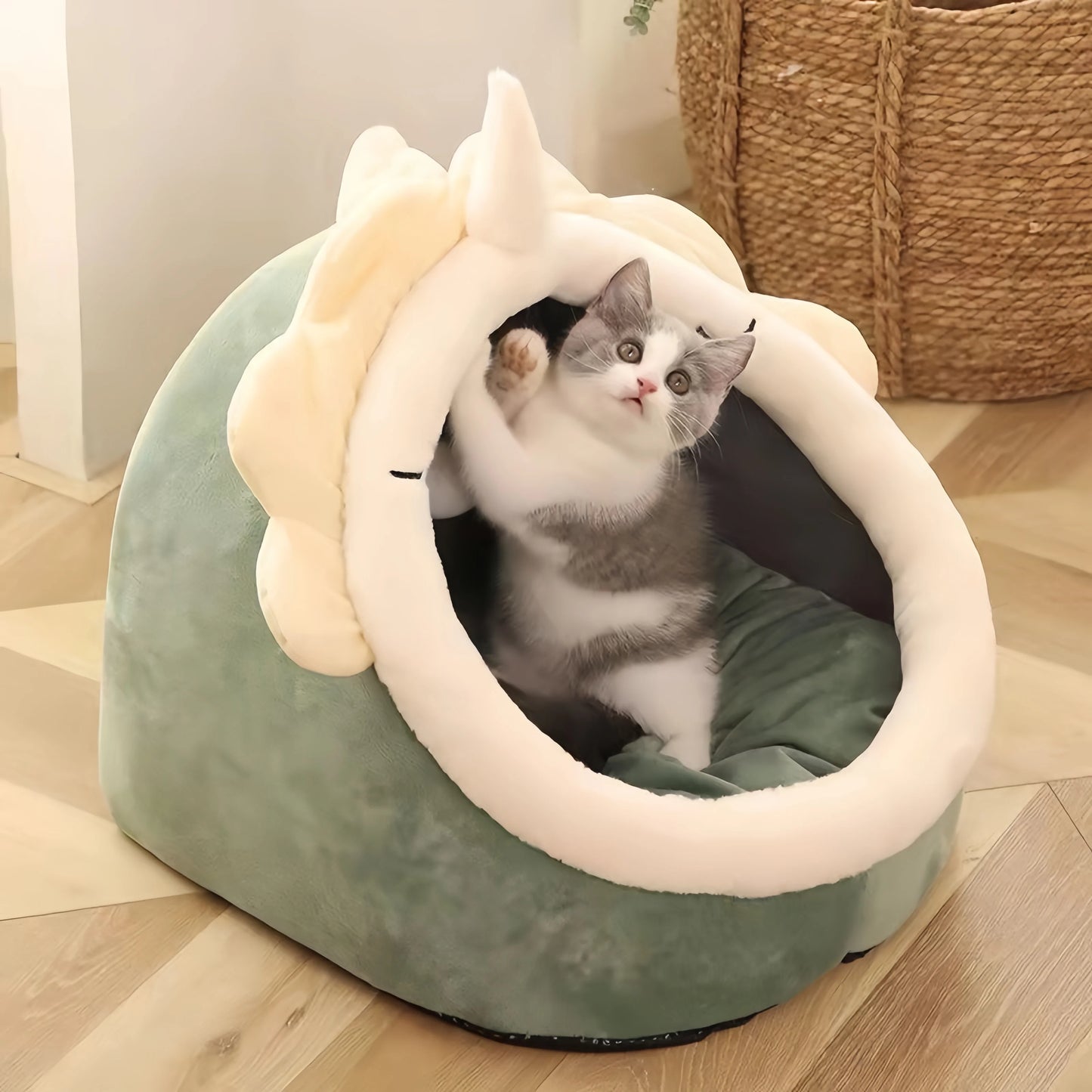 Cute Cat Bed and Pet House