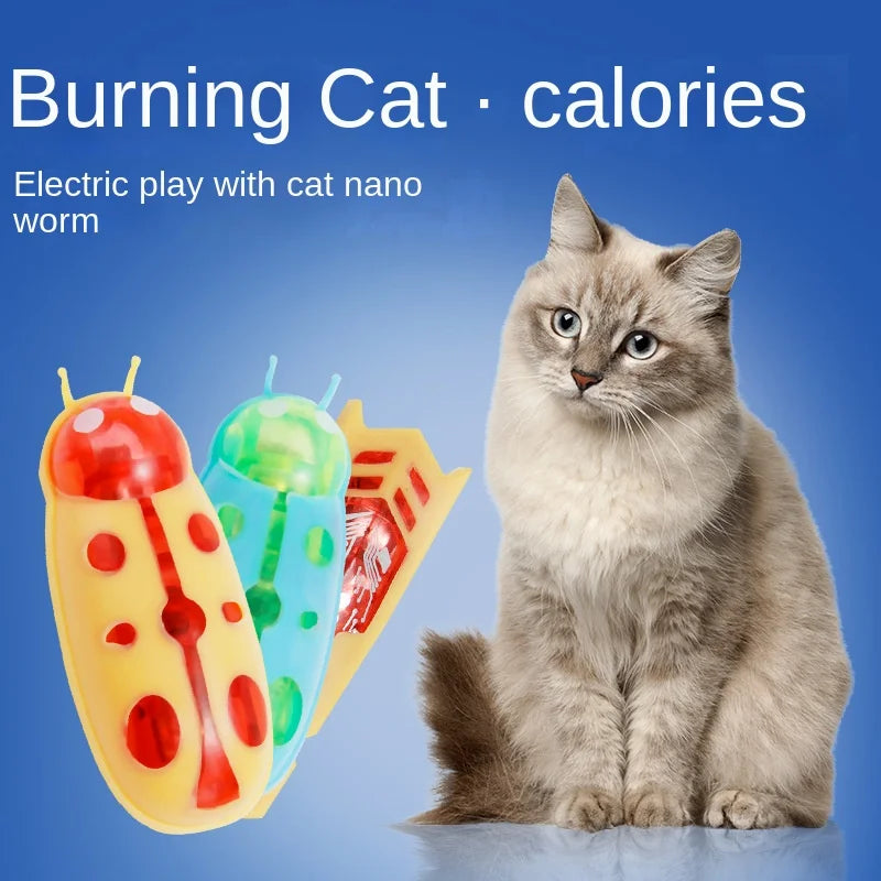 Electric Bugs Cat Toy