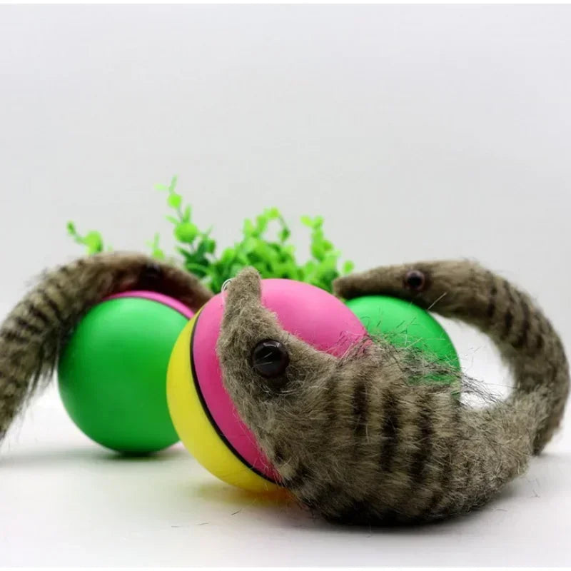 Pet Rolling Play Ball With Chasing Weasel