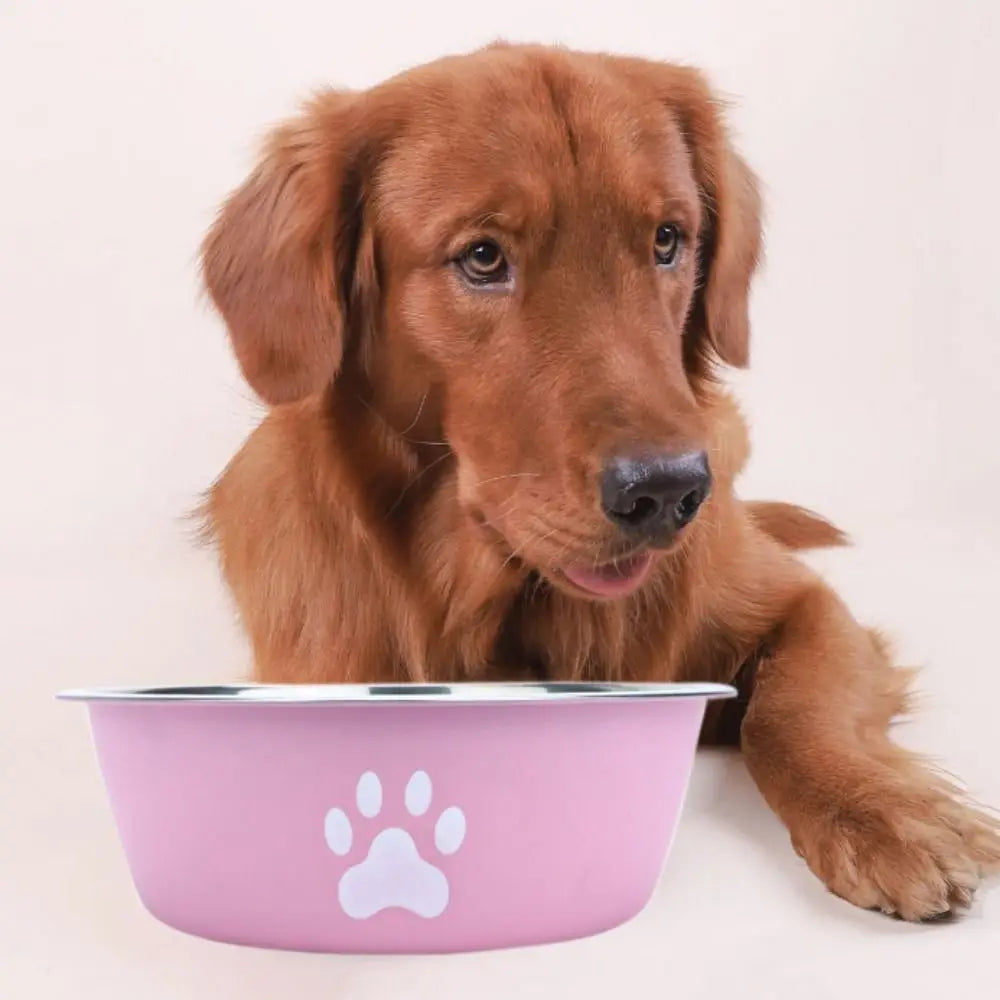 Non-slip Stainless Steel Dog Bowl - Love My Pet