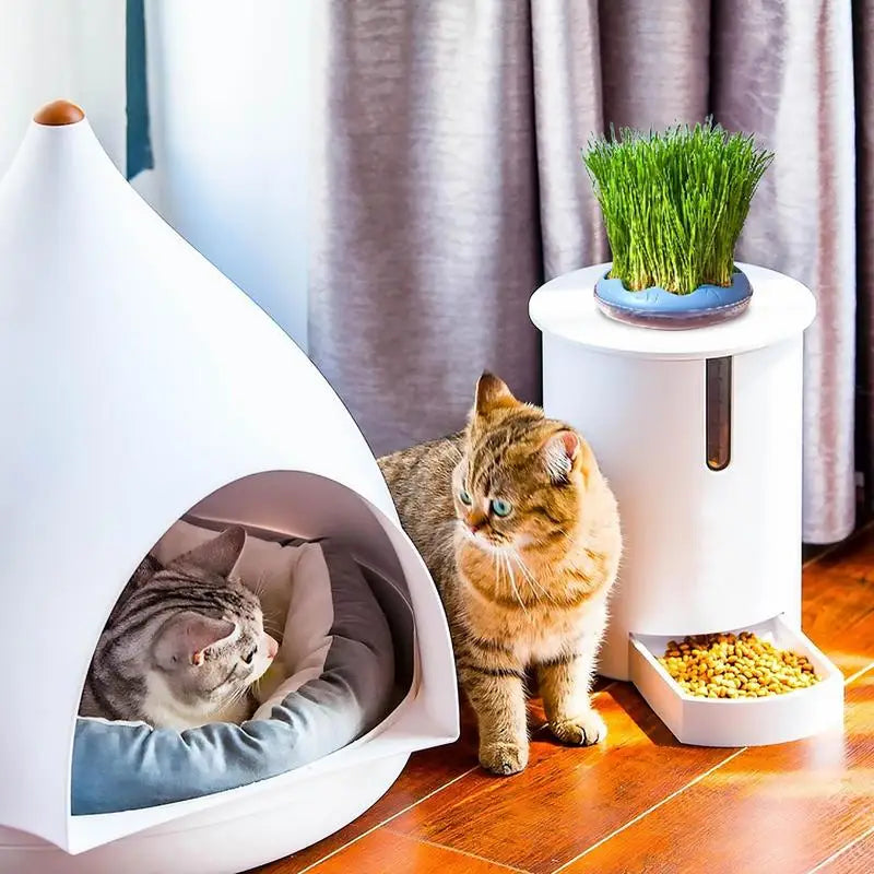 Hydroponic Cat Grass Planter And Growing Tray