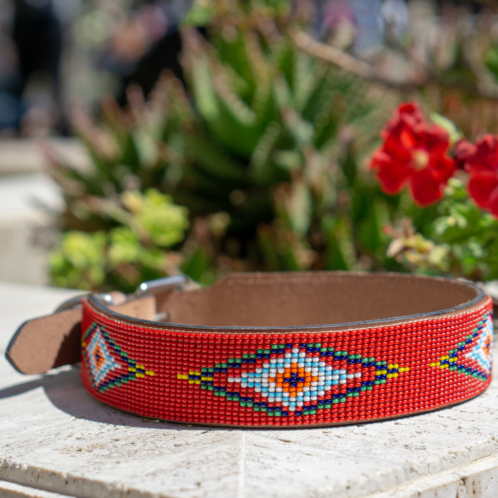 Red Vogue Sambboho dog collar