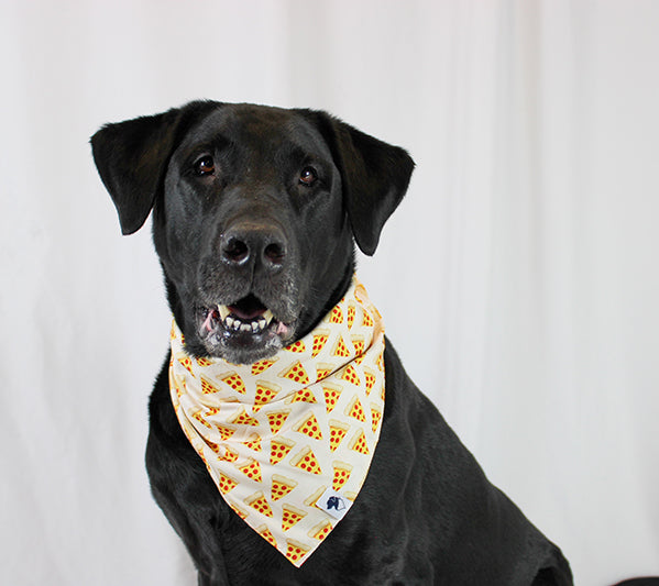 Pizza & Food Dog Bandana