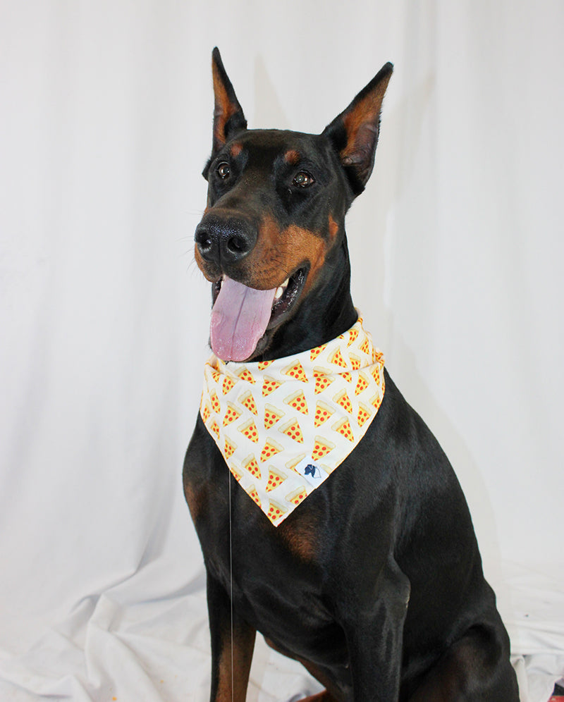 Pizza & Food Dog Bandana