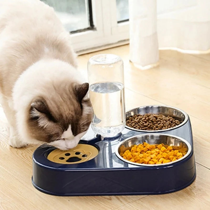 3 In 1 Pet Food Bowl with Bottle for Automatic Drinking