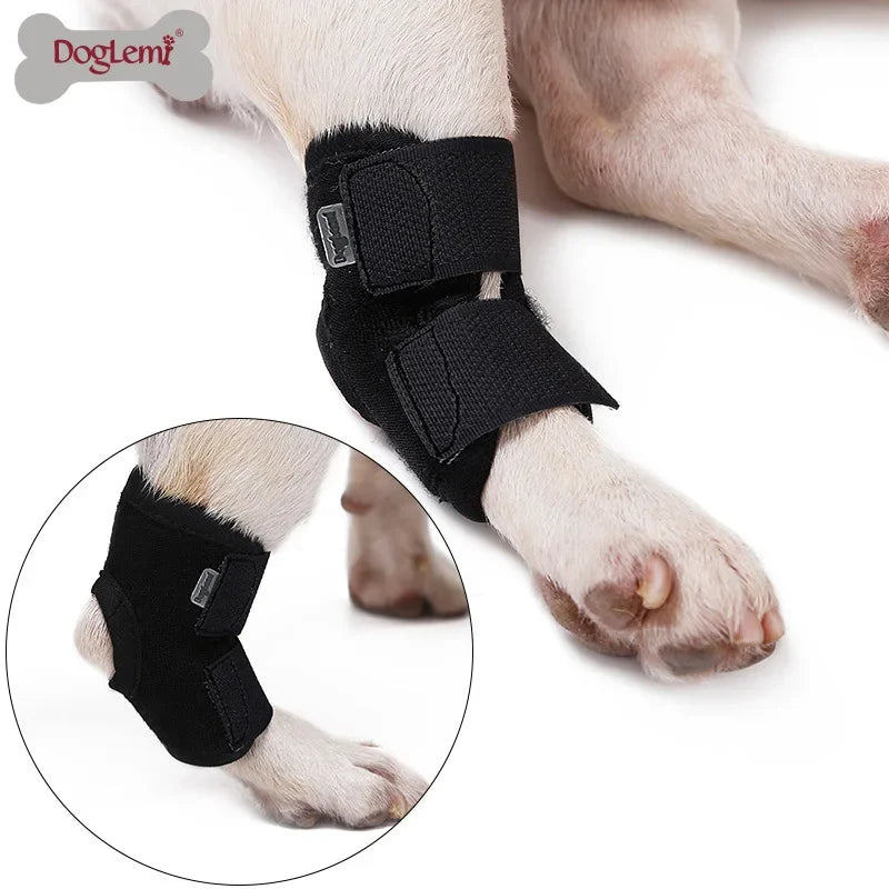 Pet Ankle Brace