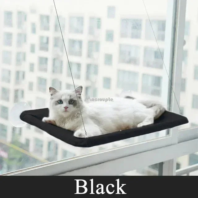 Hanging Cat Hammock for Window - Love My Pet