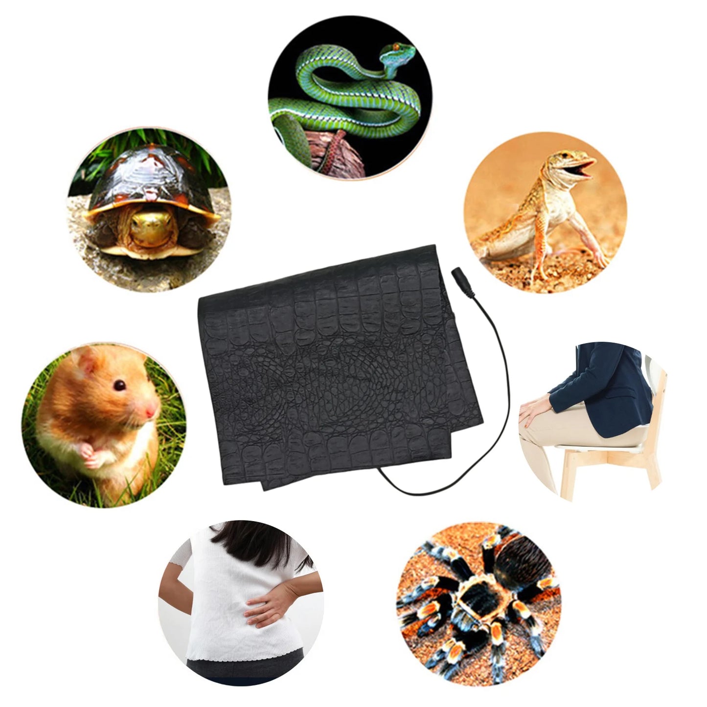 Terrarium Reptiles Heat Mat