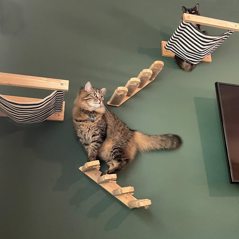 Cat Wall Mounted Climbing Ladder,  Steps and Jumping Platform