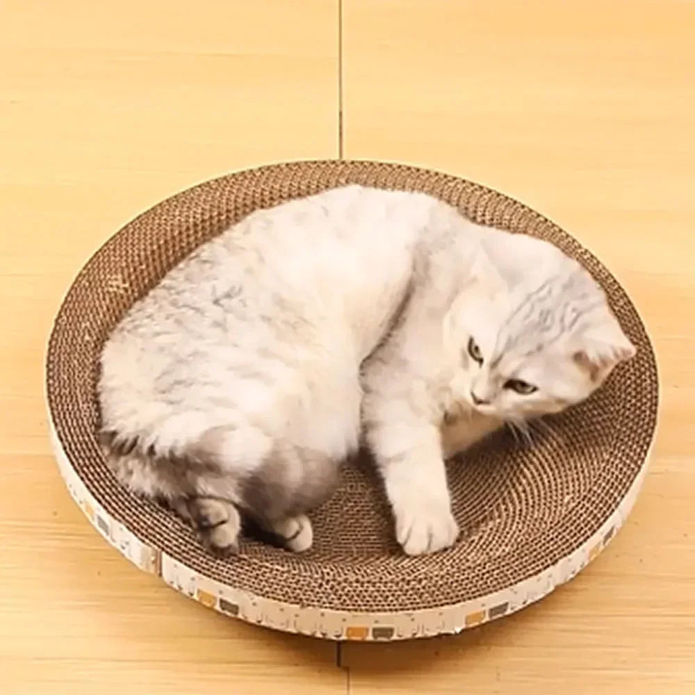 Cat Scratching Board and Bed