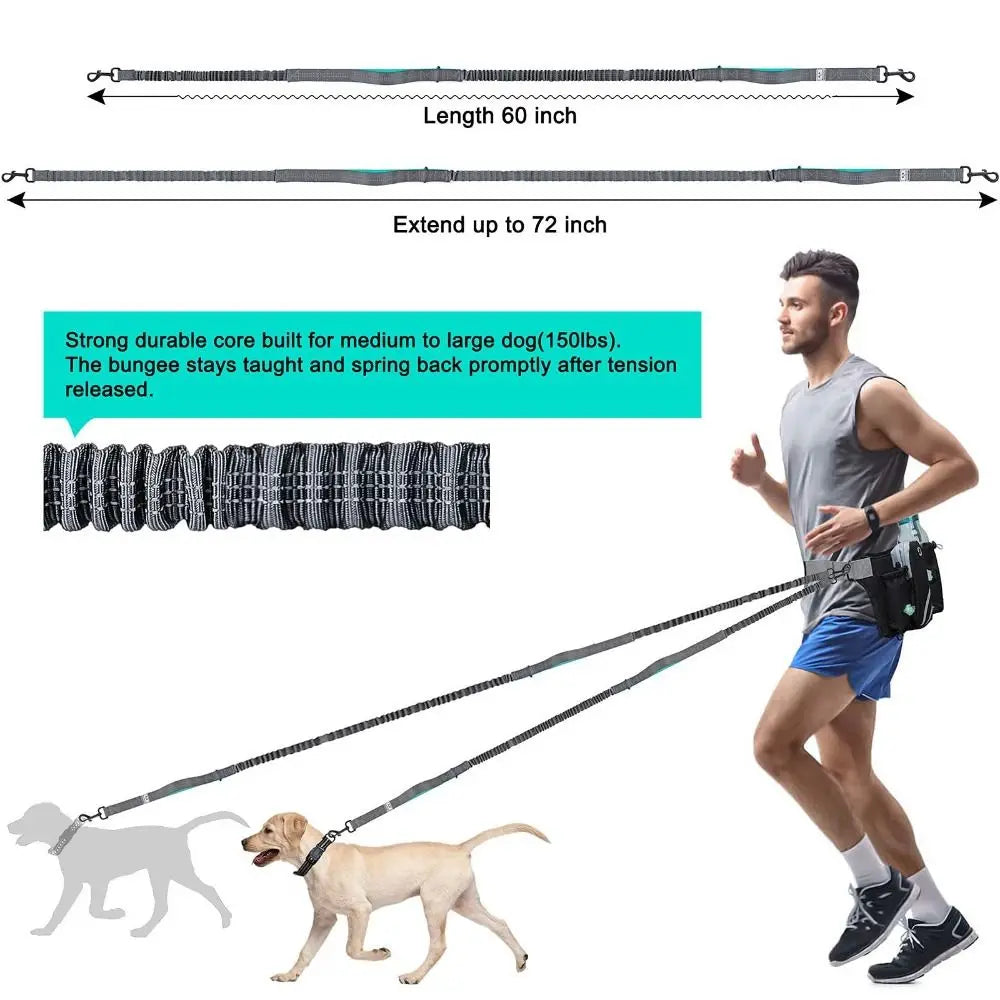 Portable Retractable Dog Walking Bag