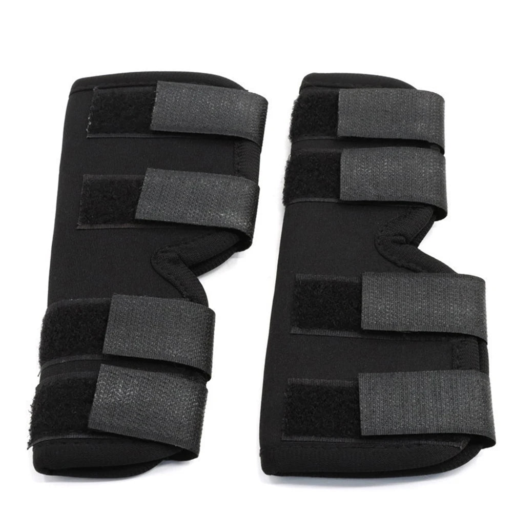 Universal Hip And Knee Brace And Protector For Dogs