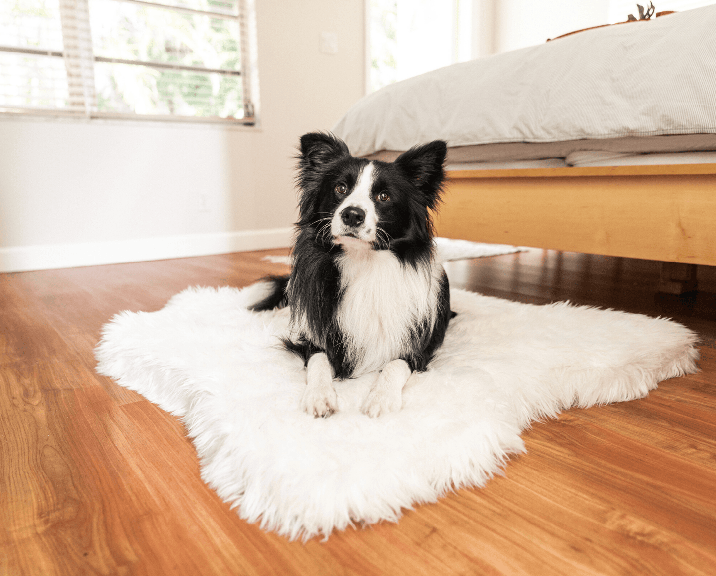PupRug® Animal Print Memory Foam Dog Bed - Polar Bear Faux Hide