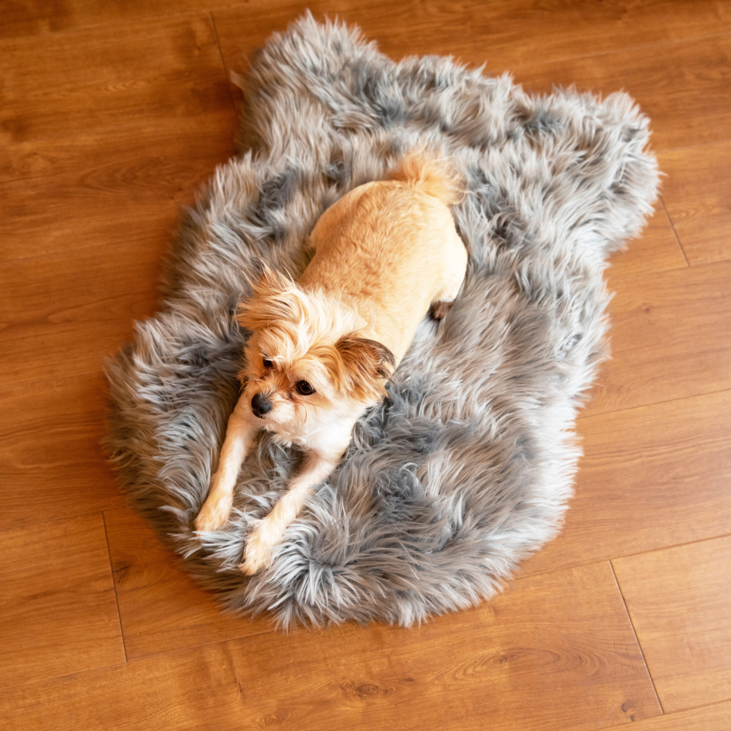 PupRug by Paw.com® Faux Fur Orthopedic Dog Bed - Curve Charcoal Grey
