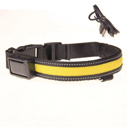 Solar Charging or USB Led Dog Collar - Love My Pet