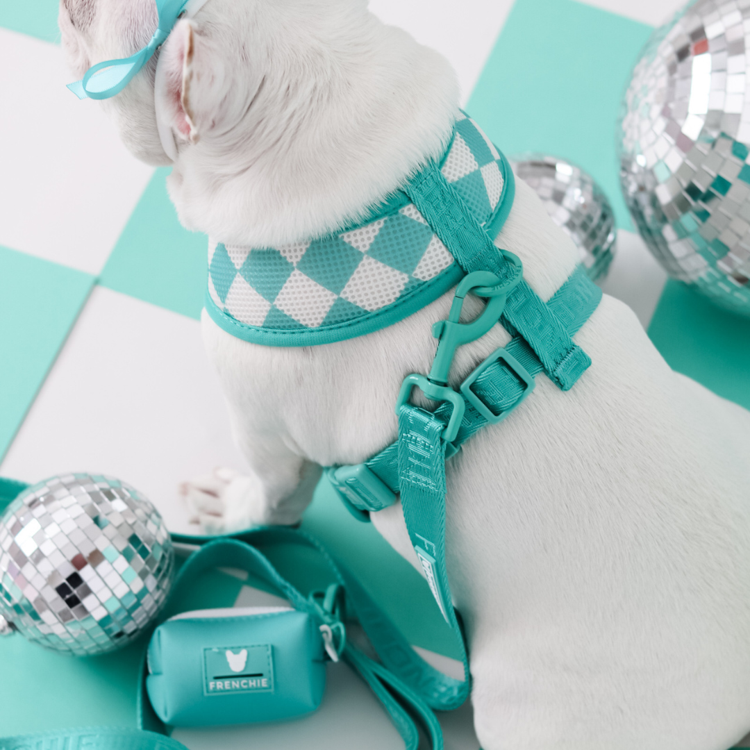Frenchie Duo Reversible Harness - Solid Aqua