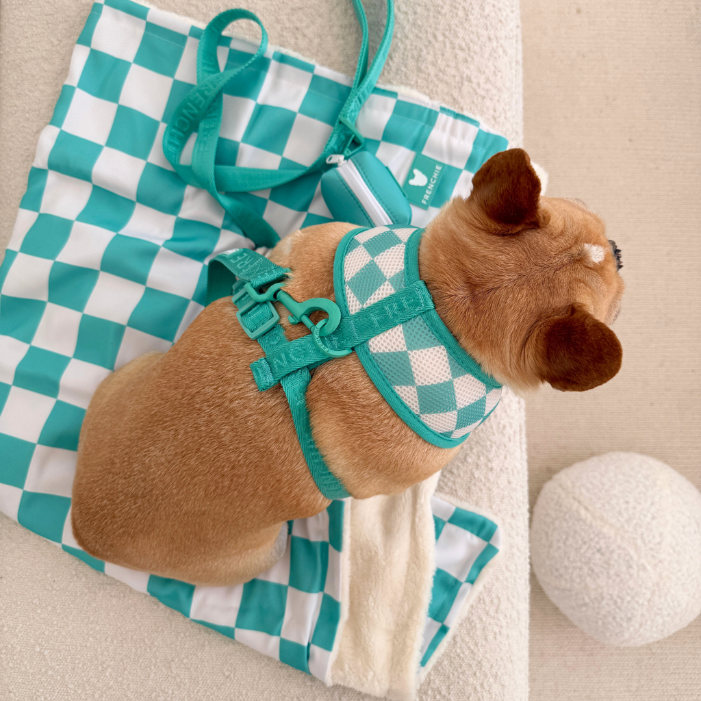 Frenchie Duo Reversible Harness - Solid Aqua