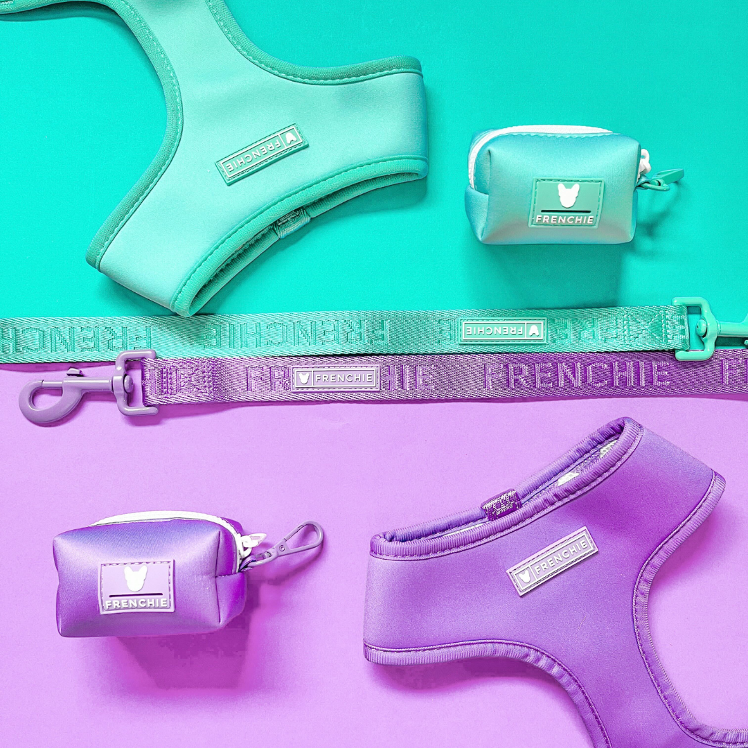 Frenchie Comfort Leash - Solid Purple