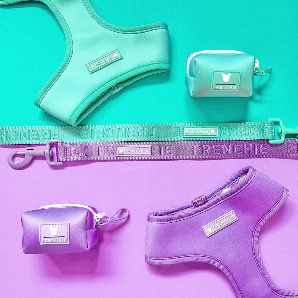 Frenchie Duo Reversible Harness - Solid Aqua