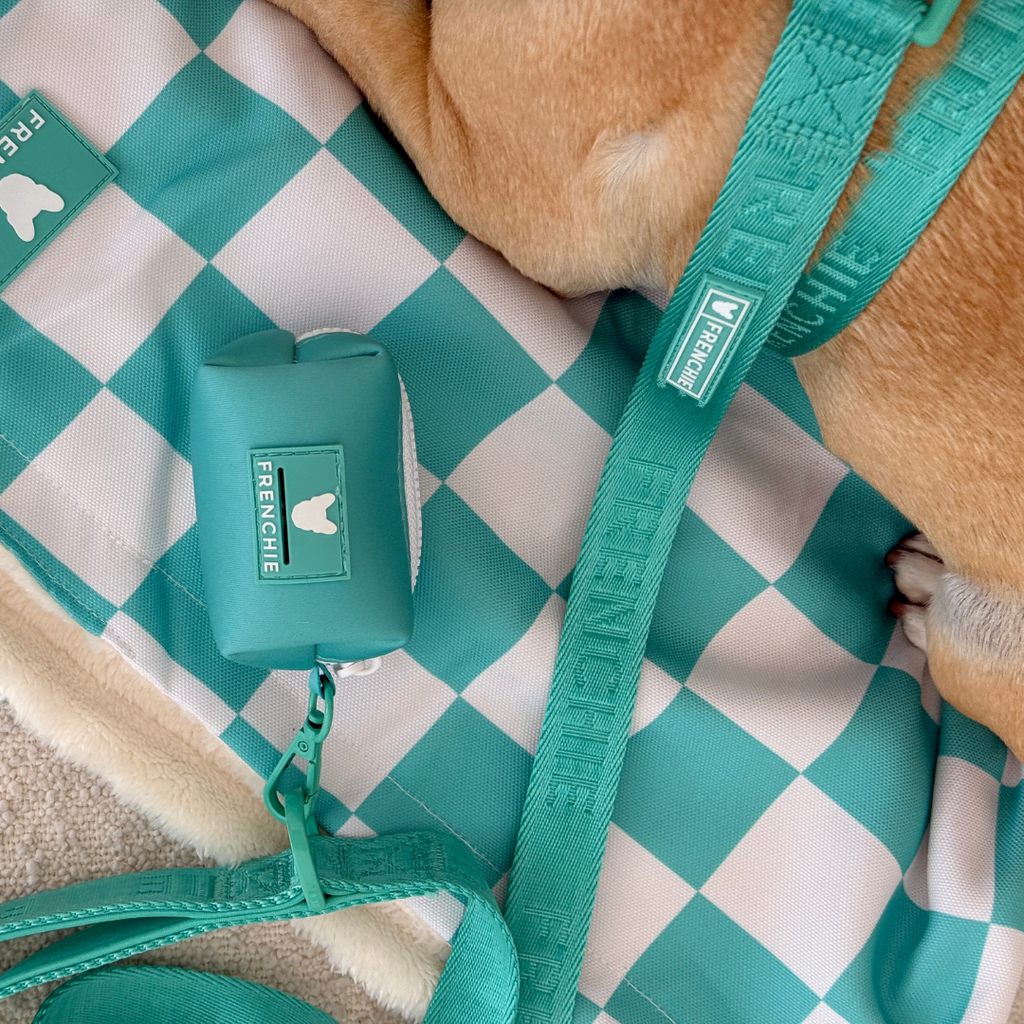 Frenchie Comfort Leash - Solid Aqua
