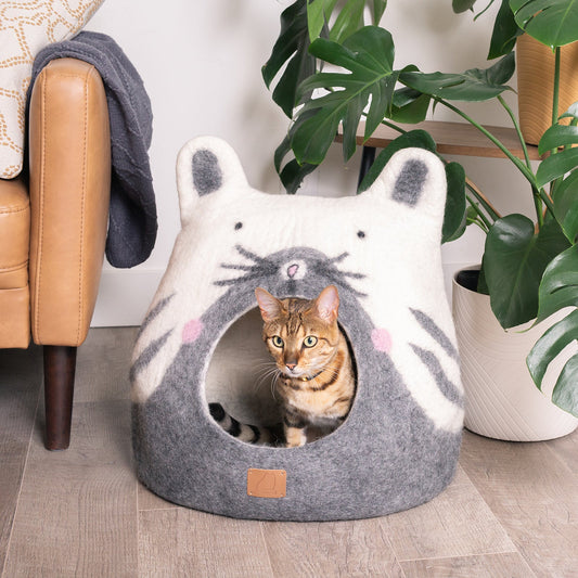 #1 Cat Design | Ear Style Cave