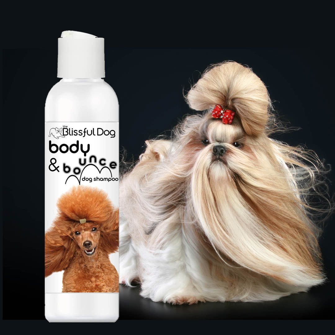 Body & Bounce Dog Shampoo